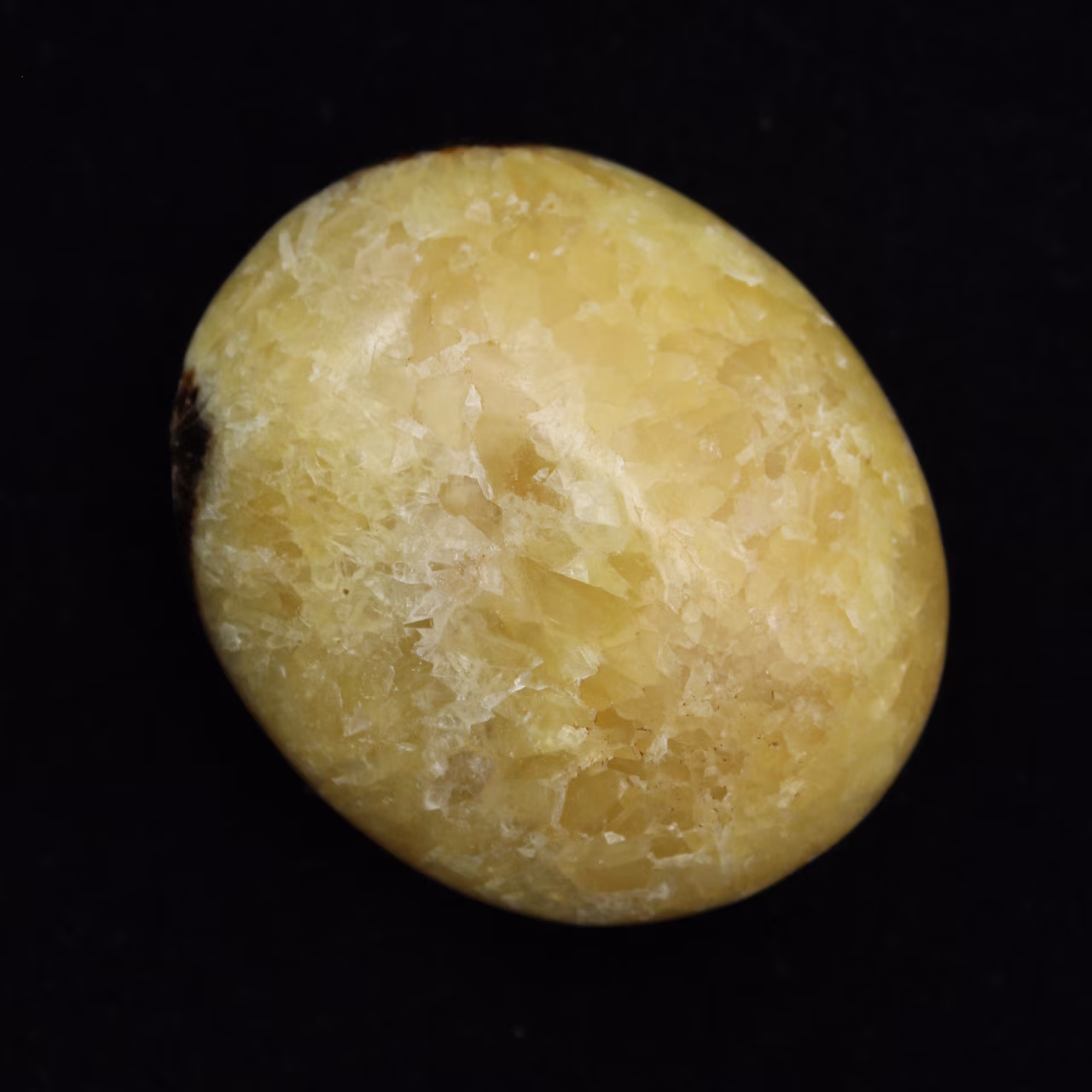 Pebbles of septaria