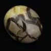 Pebbles of septaria - 0
