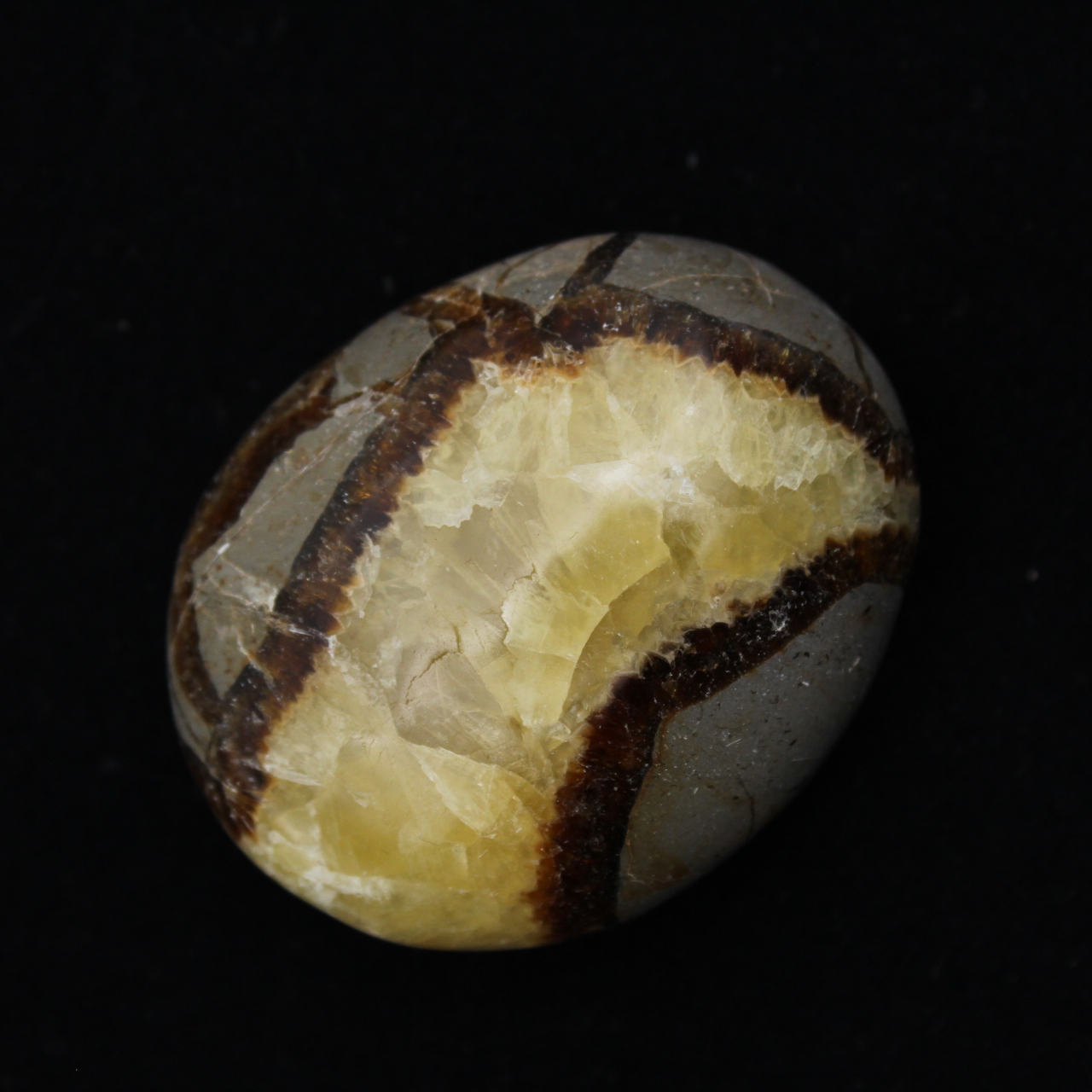 Pebbles of septaria