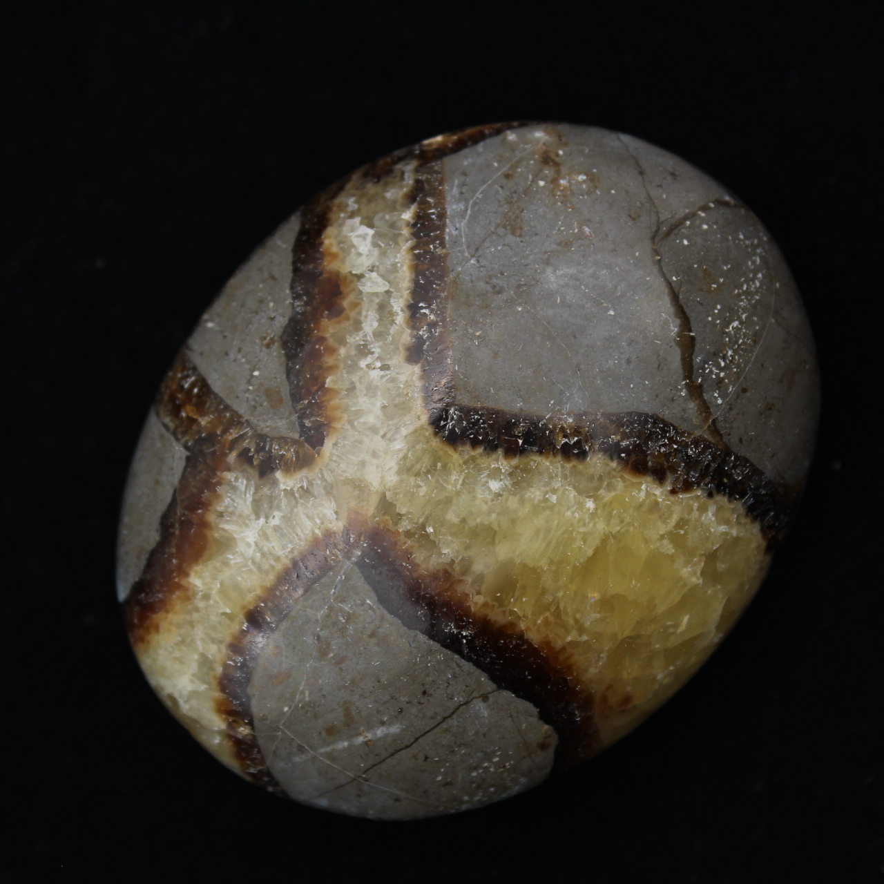 Pebbles of septaria