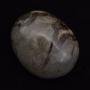 Pebbles of septaria