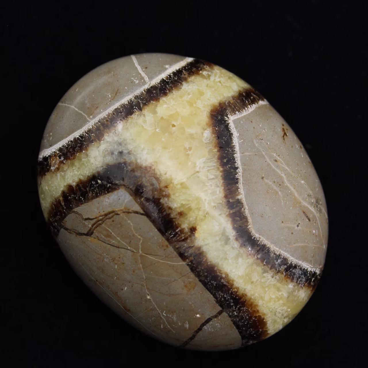 Pebbles of septaria
