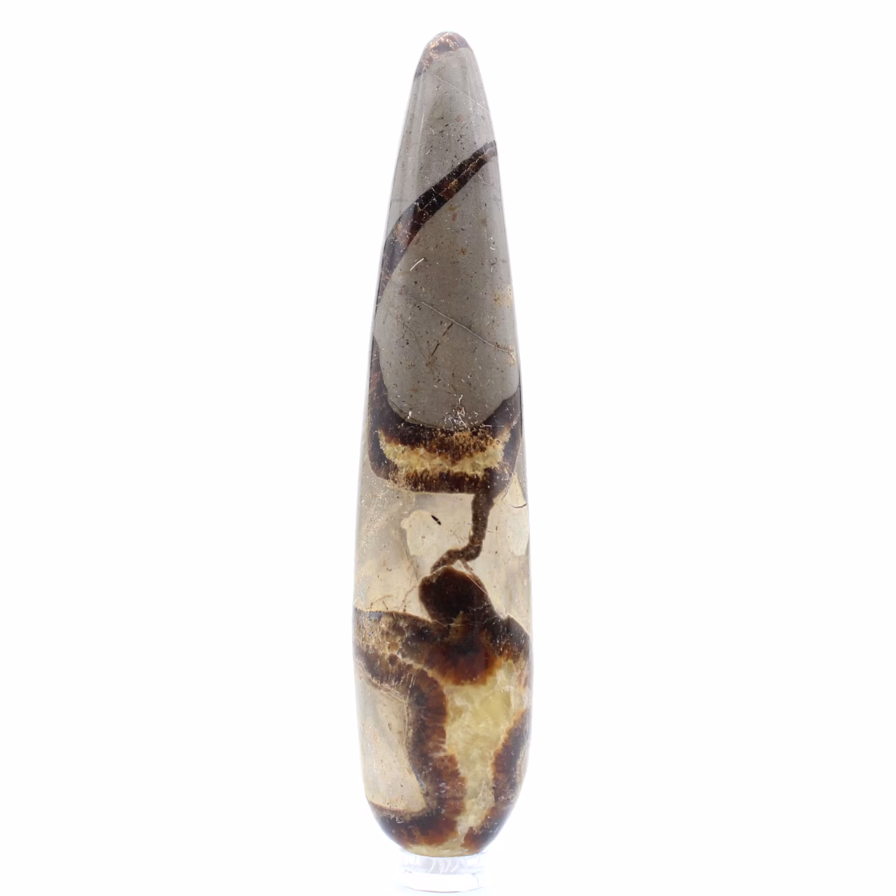 Stick i naturliga Septaria