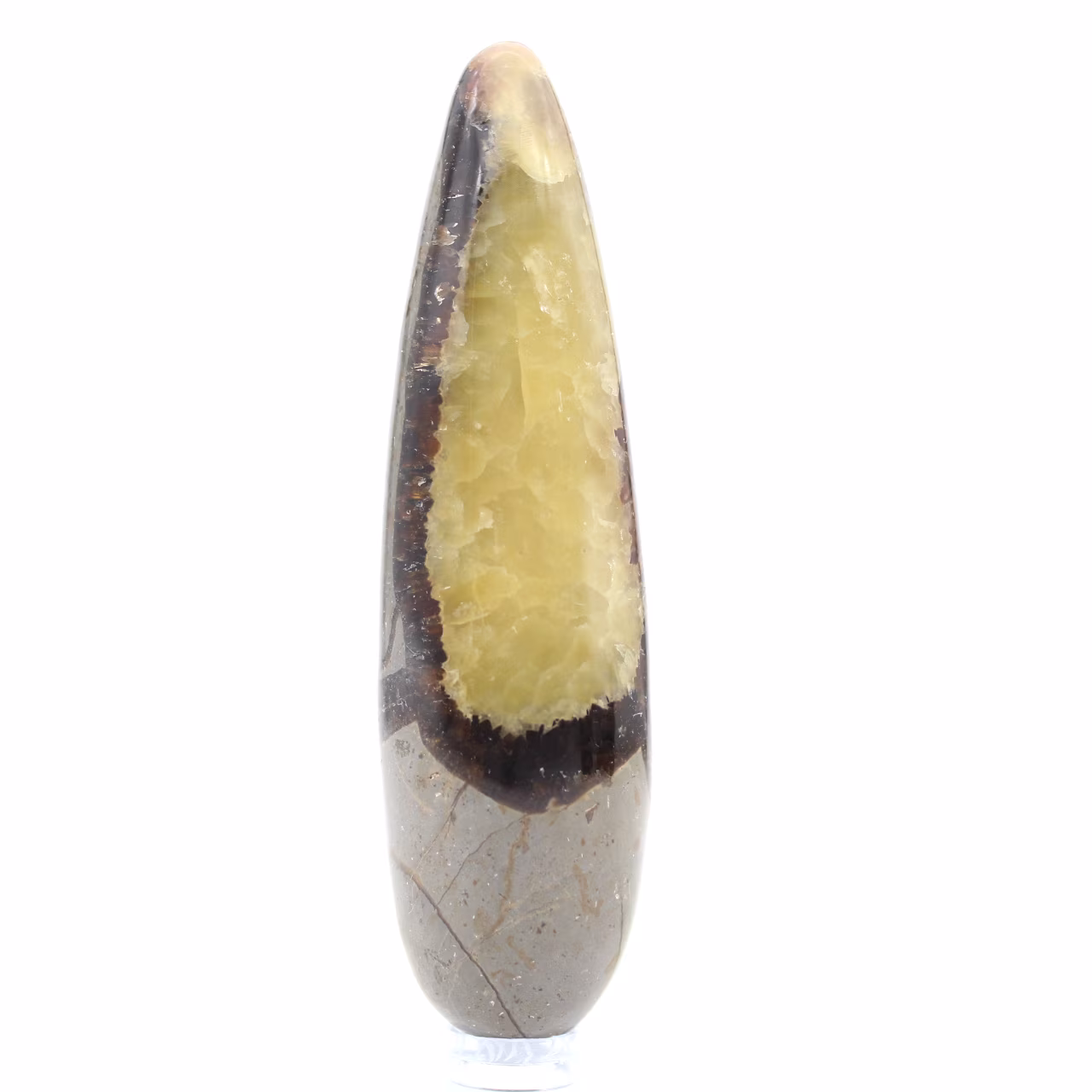 Septaria sten massagestav