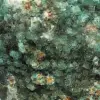 Kubisk kristalliserad fluorit - 6