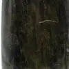 Madagaskiska diopside - 6