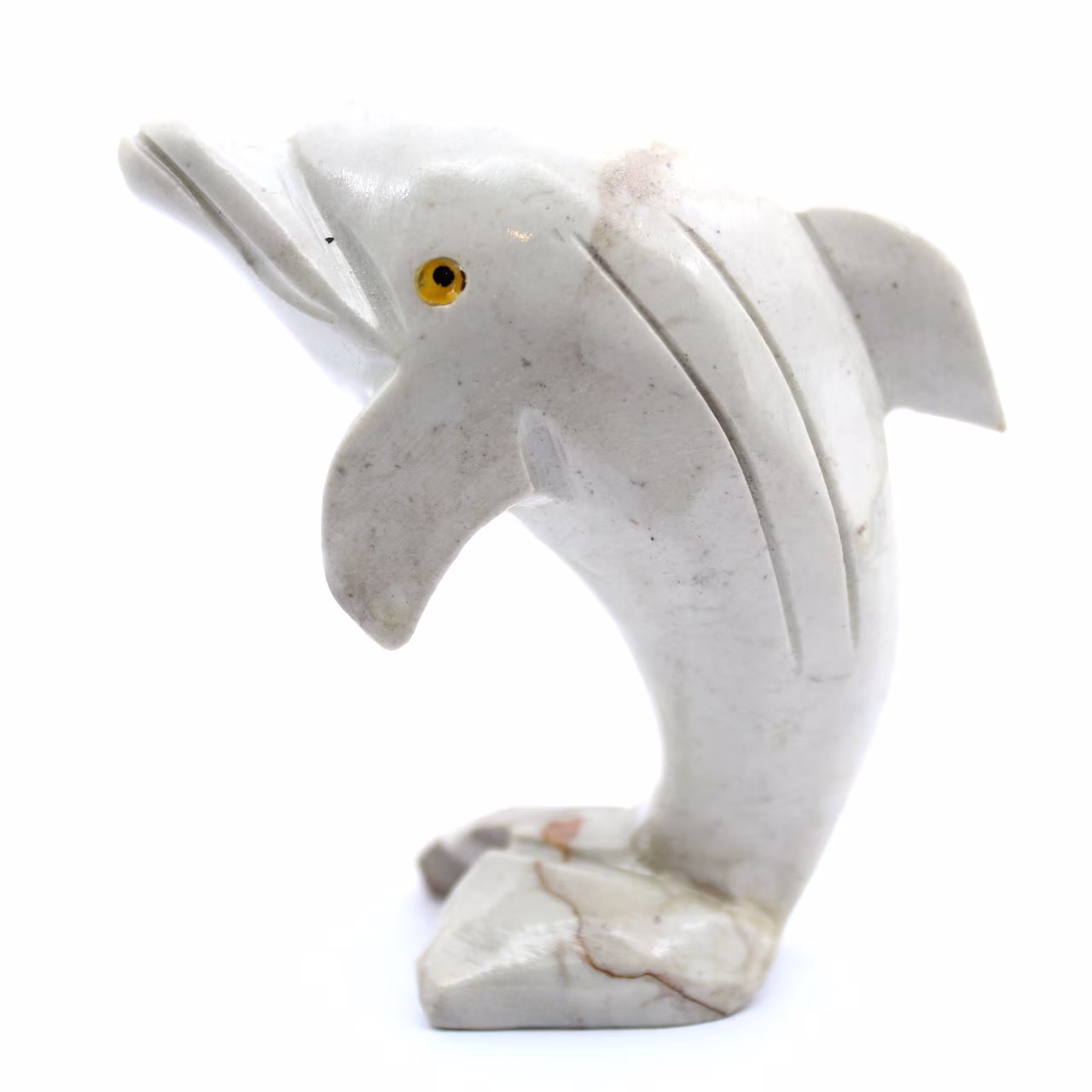 täljstensdelfin