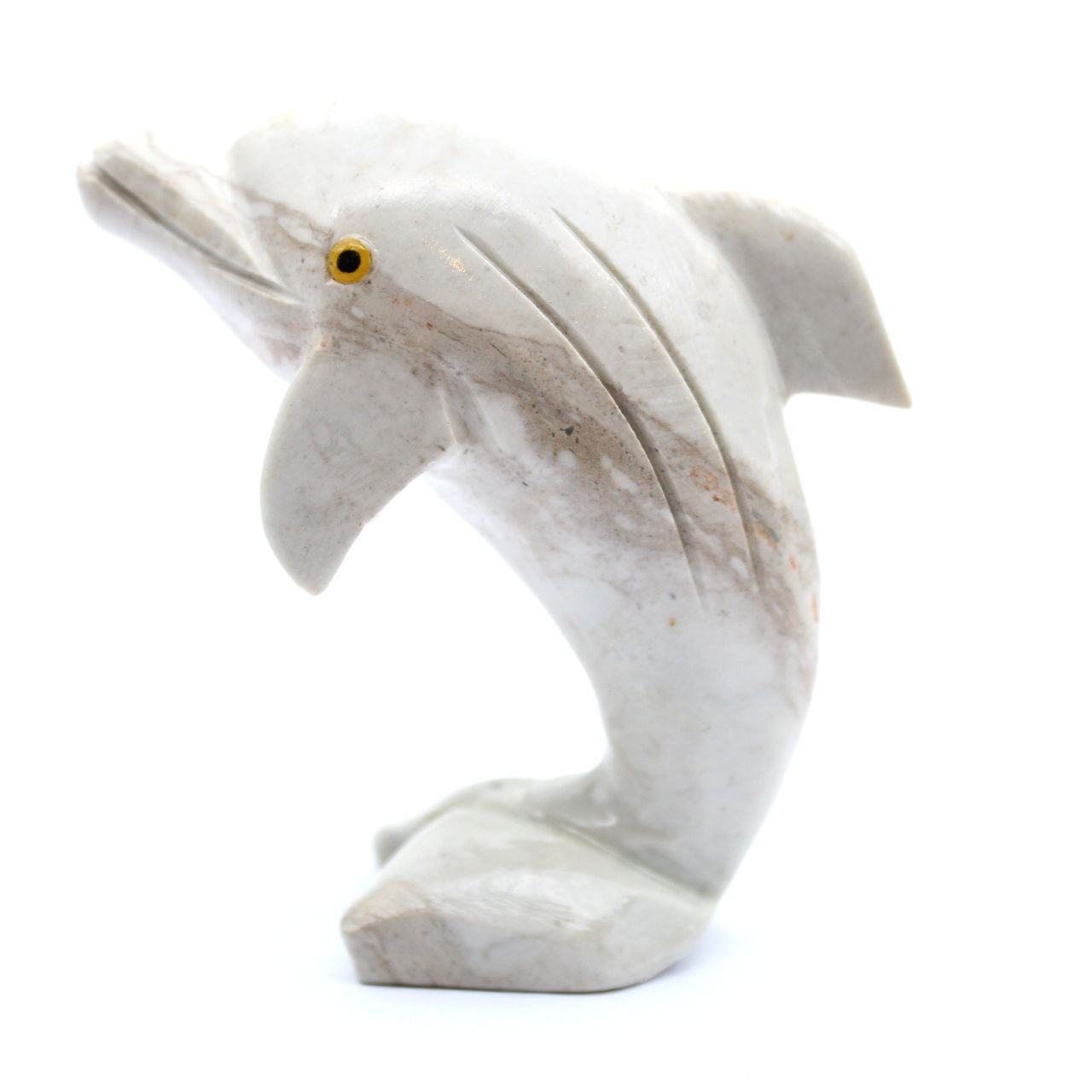 täljstensdelfin