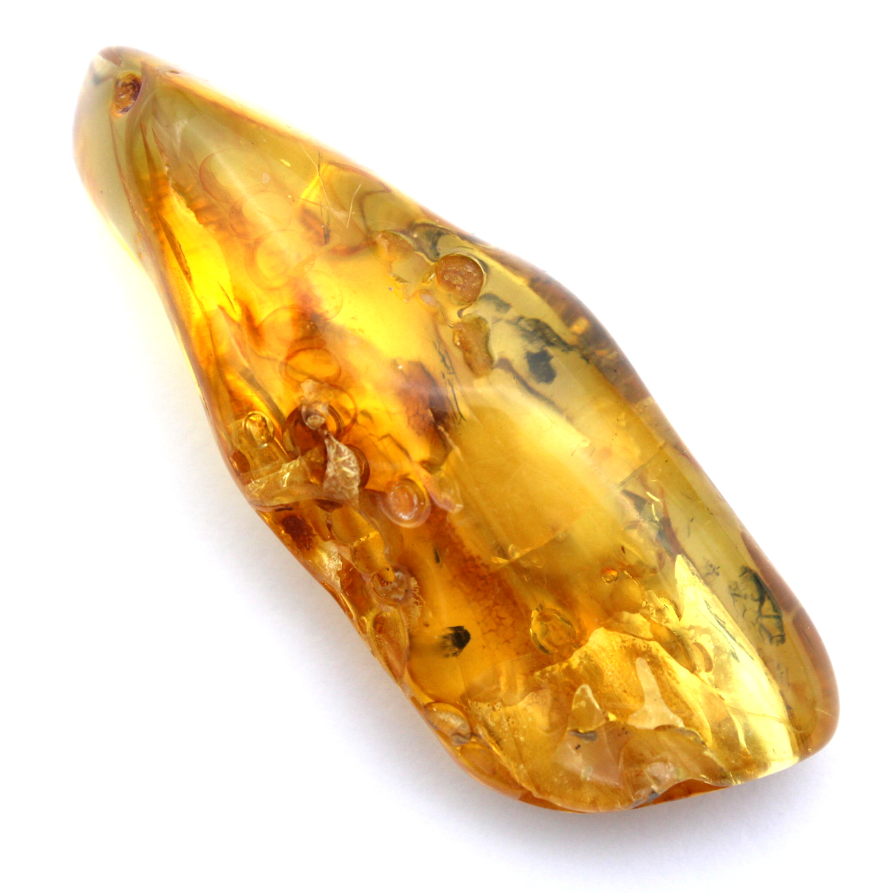 Fossil bärnstenssten