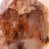 Polerad freeform red quartz - 6
