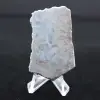 Halvpolerad larimar plakett - 2