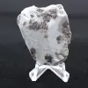 Halvpolerad larimar plakett - 2