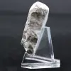 Halvpolerad larimar plakett - 3