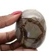Pebble i septaria - 1