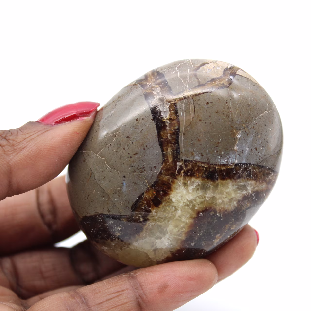 Pebble i septaria