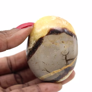 Pebble i septaria