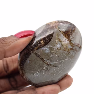 Pebble i septaria