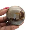 Pebble i septaria - 0