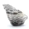 Raw Zebra Jasper - 3