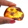 Naturlig gul bärnsten - 0