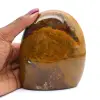 Dekorativ polerad jaspis - 5