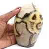 Polerad septarian stone - 0