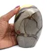 Polerad septaria - 0