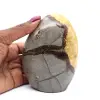Polerad dekoration septaria - 0