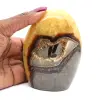 Polerad septarian stone - 0