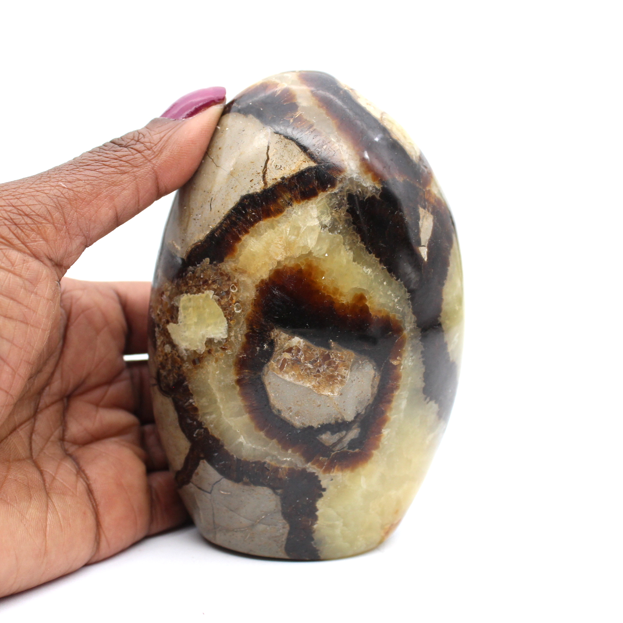 Polerad septaria freeform