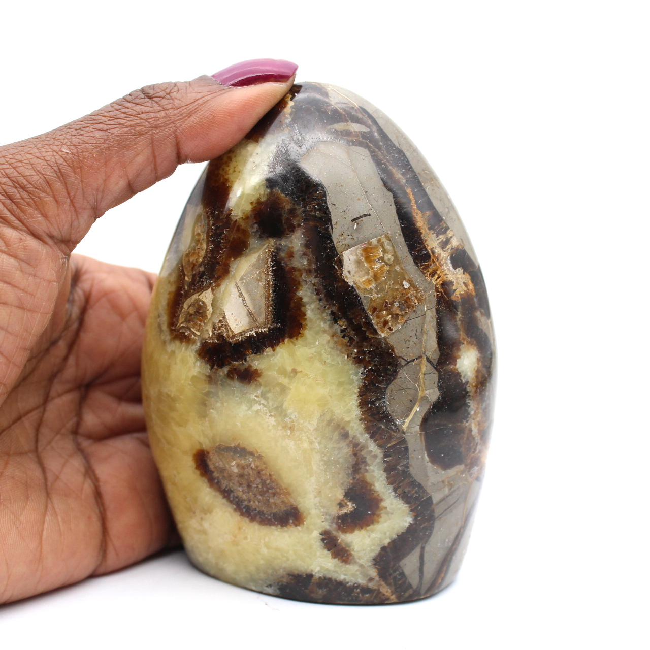Polerad polerad septarian stone