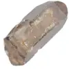 Rökkvarts från Madagaskar - 2
