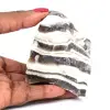Zebra jaspis - 0