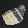 Zebra jaspisrock - 2