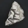 Zebra jaspisrock - 1