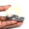Zebra jaspisrock - 0