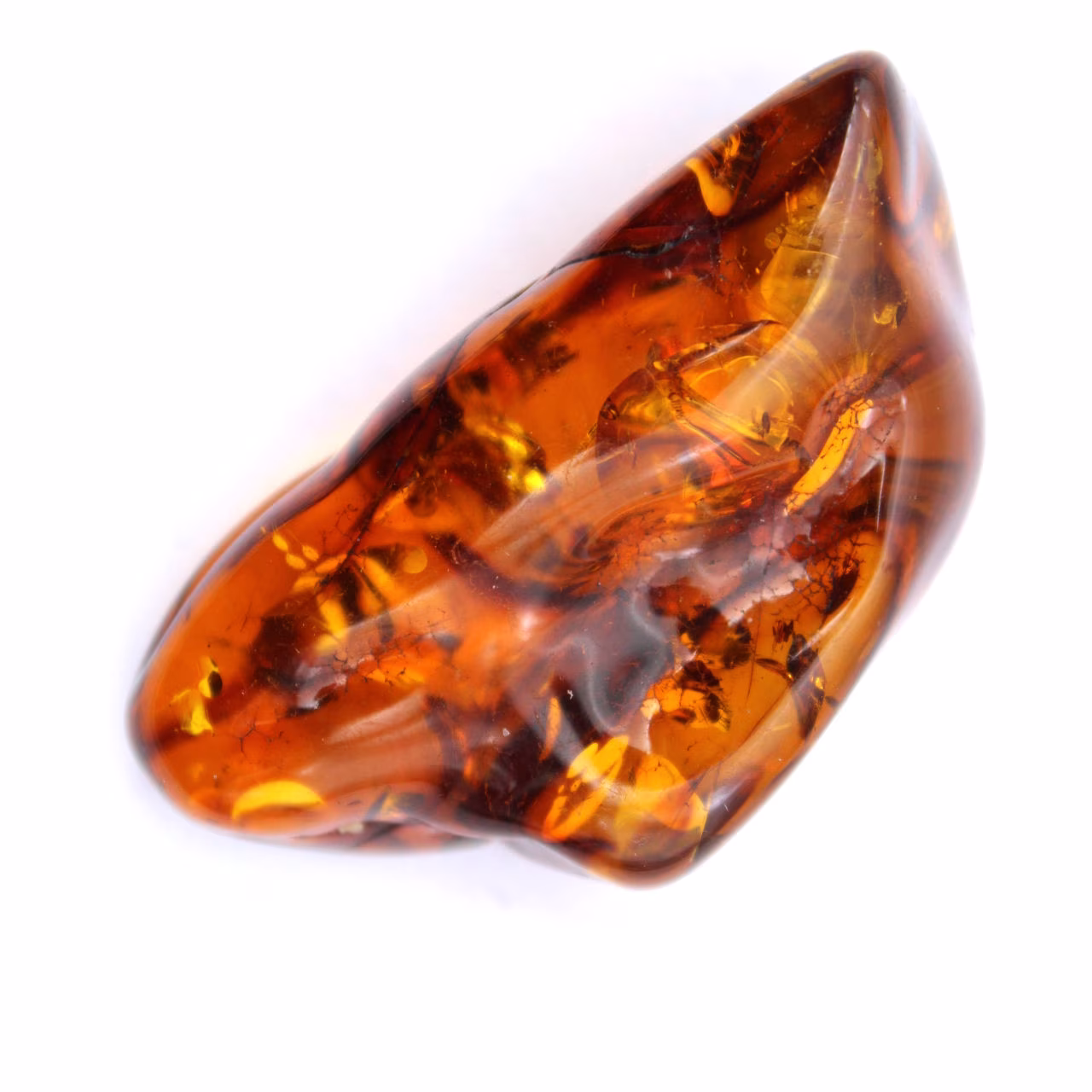 Fossil bärnsten
