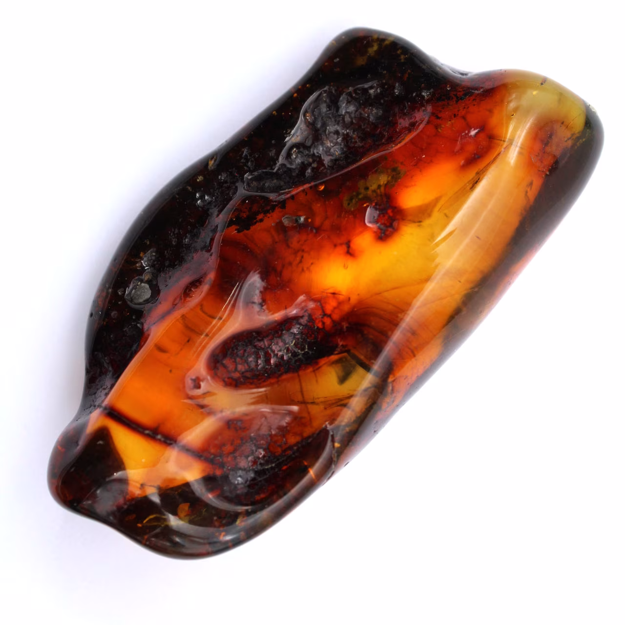 Fossilerad bärnstenssten