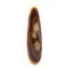 Calcit personal - 1