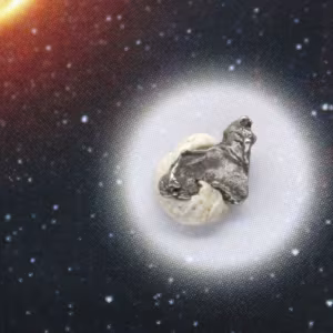 Campo del Cielo meteoritfragment