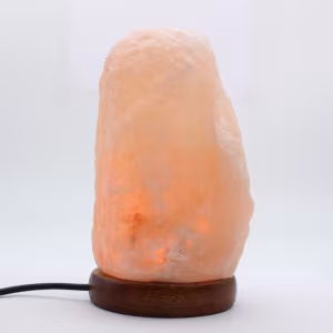 Himalaya saltstenslampa
