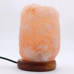 Rosa salt USB lampblock