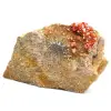 Naturlig vanadinit - 3