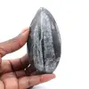 Fossil Orthoceras från Marocko - 0