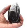 Orthoceras - 0