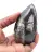 Marockanska Orthoceras