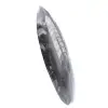 Fossil Orthoceras - 2