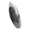 Orthoceras fossil Marocko - 2