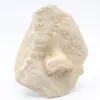 Fossil otodus hajtand - 0