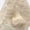 Fossil otodus hajtand - 1